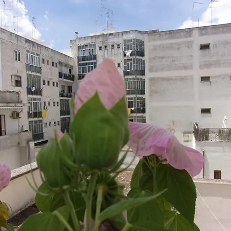 La Fontanella Affittacamere *