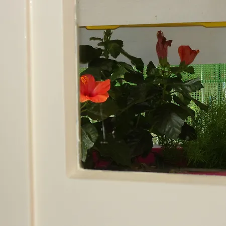 Affittacamere La Fontanella Lecce